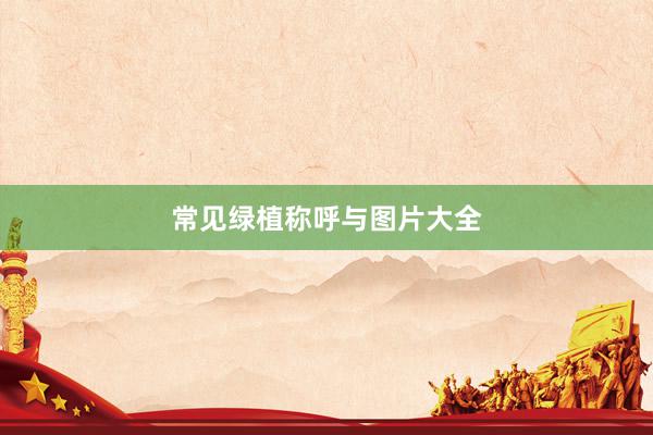 常见绿植称呼与图片大全