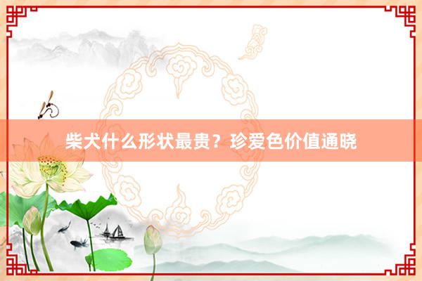 柴犬什么形状最贵?珍爱色价值通晓