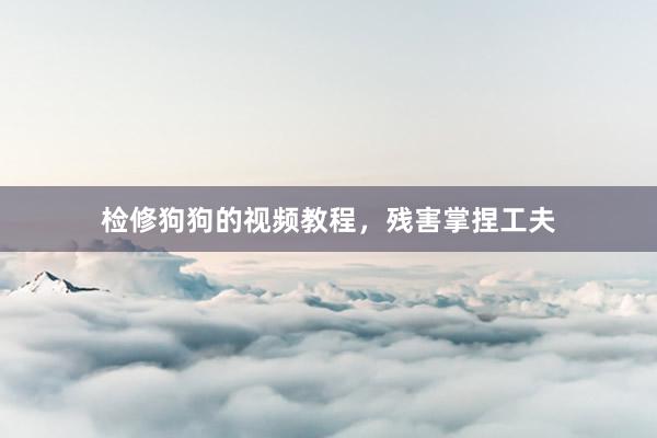 检修狗狗的视频教程，残害掌捏工夫