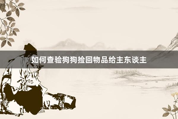 如何查验狗狗捡回物品给主东谈主