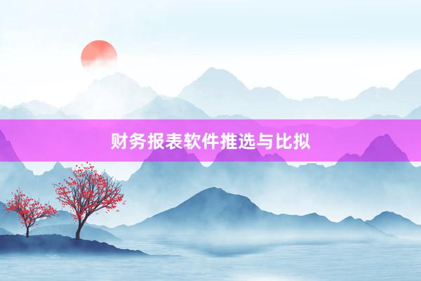 财务报表软件推选与比拟